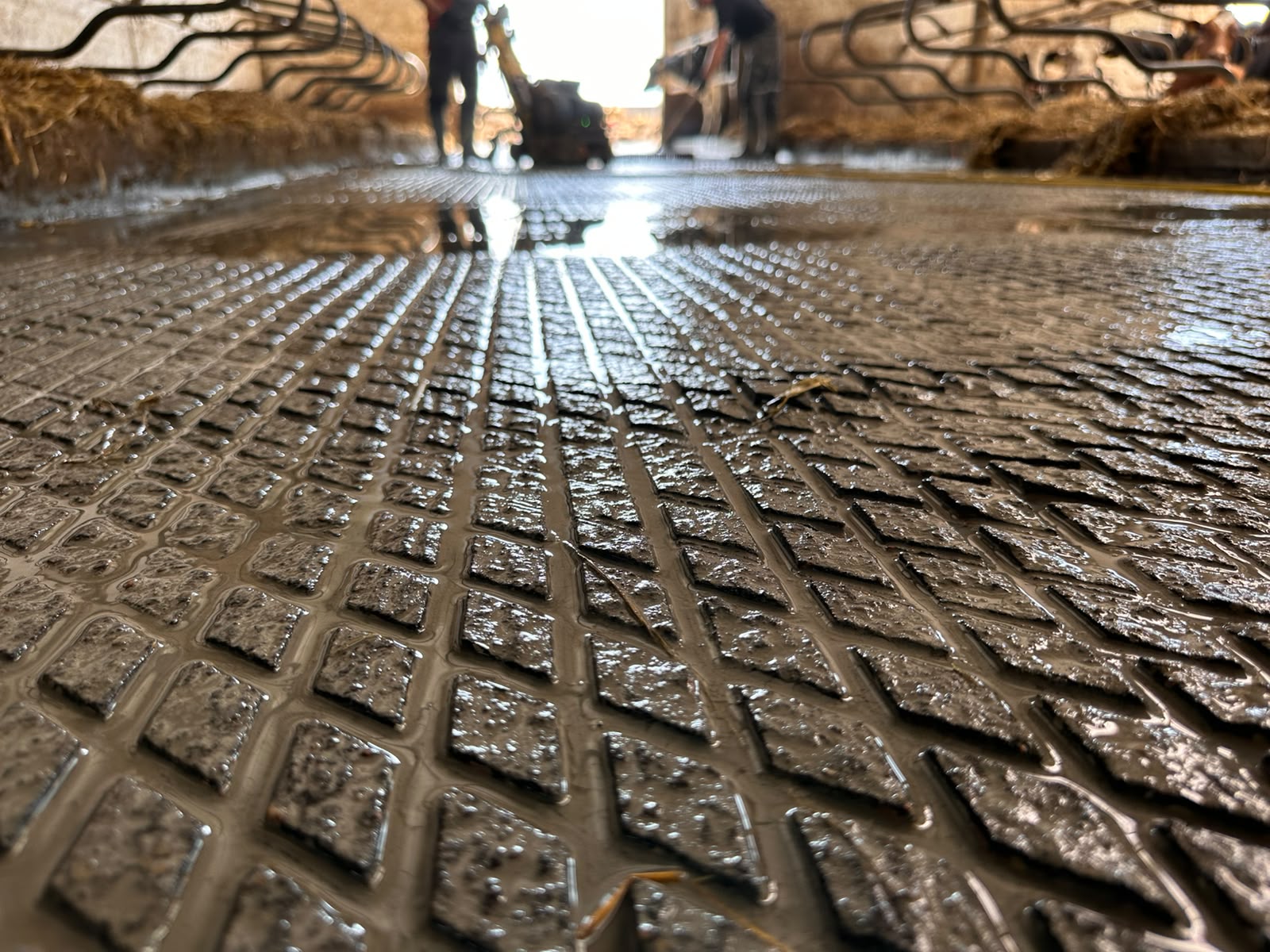Nacinanie posadzki betonowej w oborze – zbliżenie równomiernie naciętej powierzchni